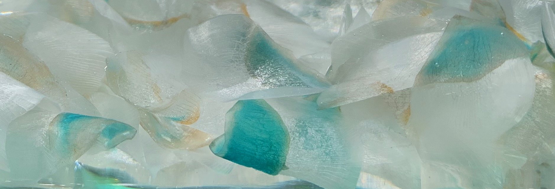 Turquoise glass sculpture resembling parrot fish scales
