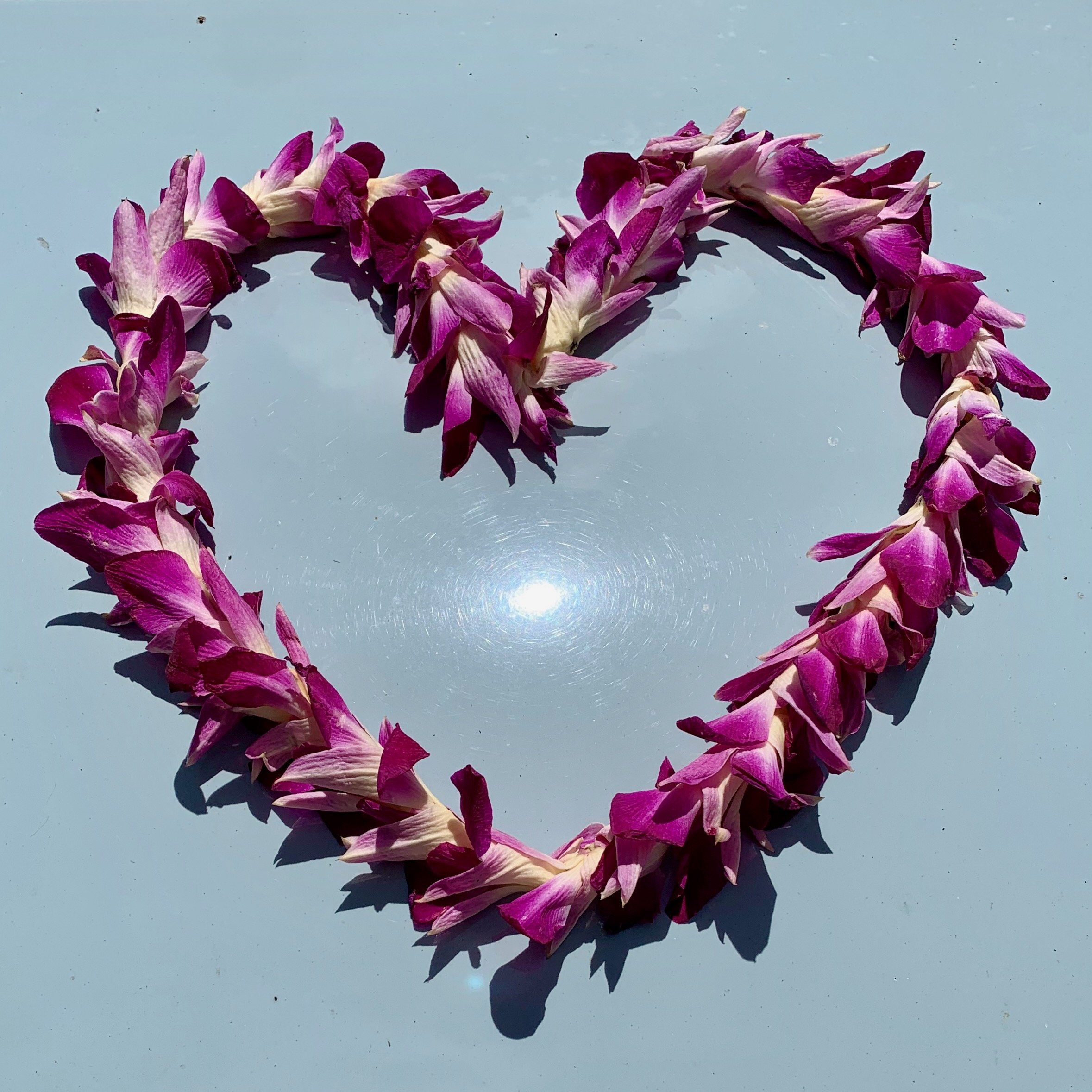 Heart-shaped lei of purple orchids against the sky